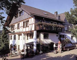 Pension Zur Schonen Aussicht Hallenberg Buitenkant foto